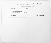 Image of Prospodium perornatum